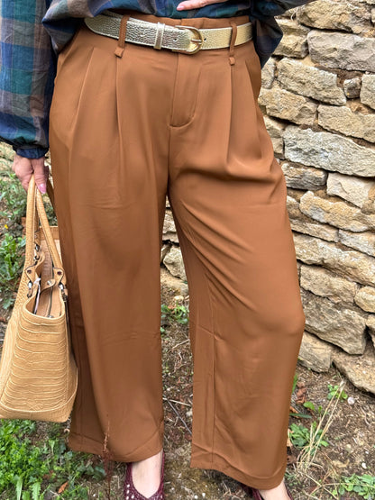 Pantalon tailleur 2 coloris